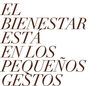 EL BIENESTAR EST EN LOS PEQUE OS GESTOS