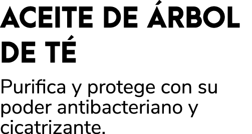 ACEITE DE RBOL DE T  Purifica y protege con su poder antibacteriano y cicatrizante.