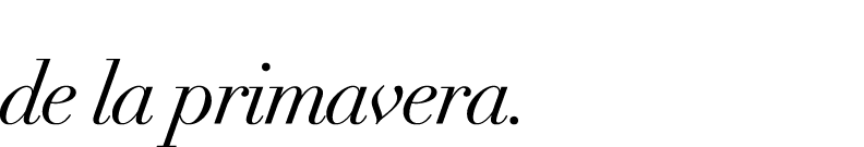 LOS ACCESORIOS ESTRELLA de la primavera.