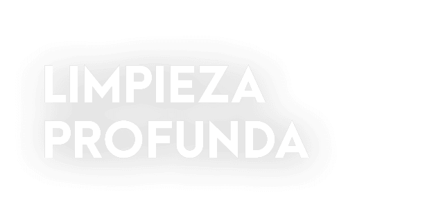 LIMPIEZA PROFUNDA