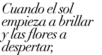 Cuando el sol empieza a brillar y las flores a despertar, 