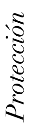 Protecci n