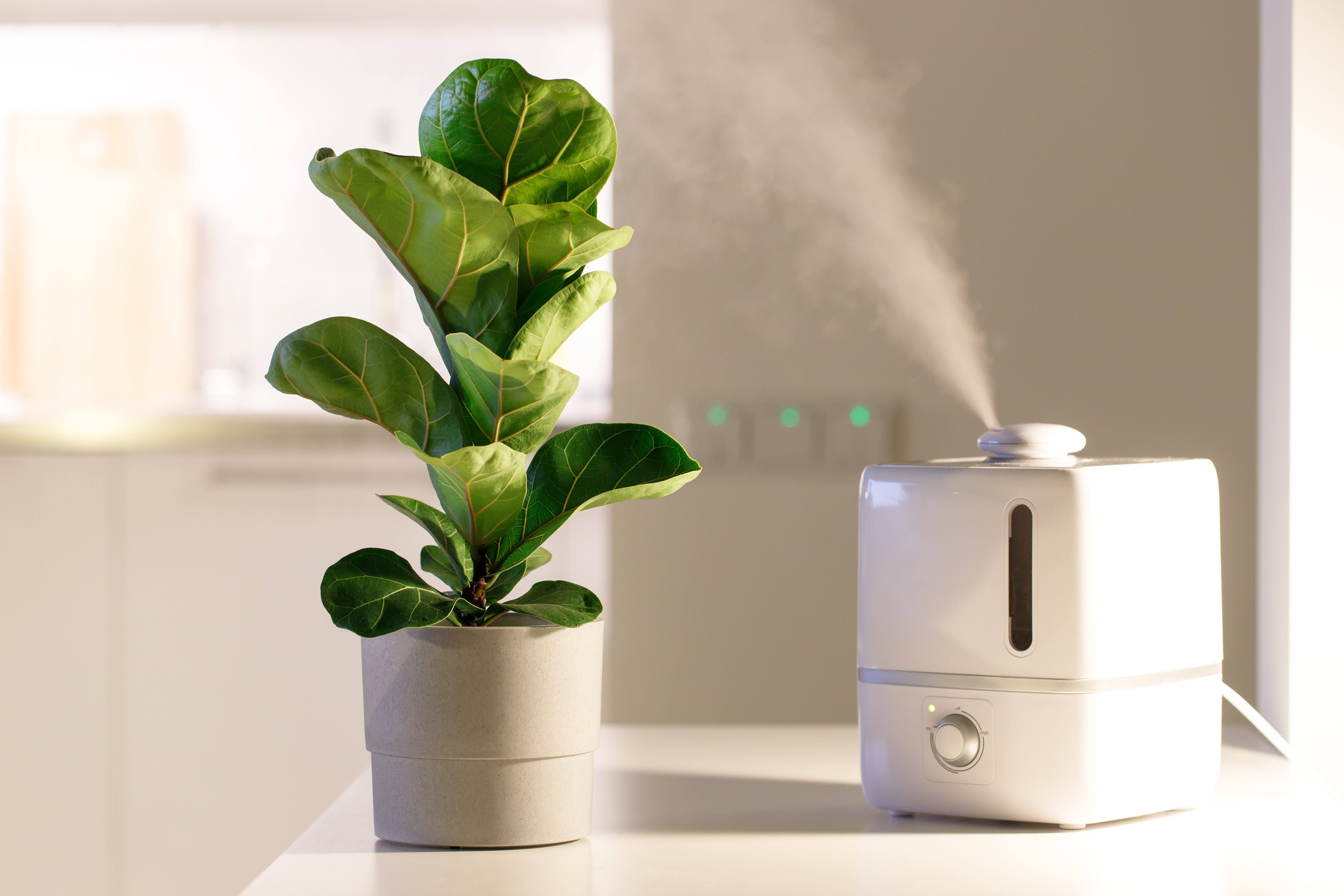 Увлажнение воздуха водой. Увлажнитель воздуха Home Humidifier. Увлажнитель воздуха 2022. Увлажнитель воздуха Humidifier 021. Увлажнитель воздуха для квартиры 2021.