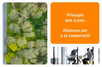 Valores cooperativos