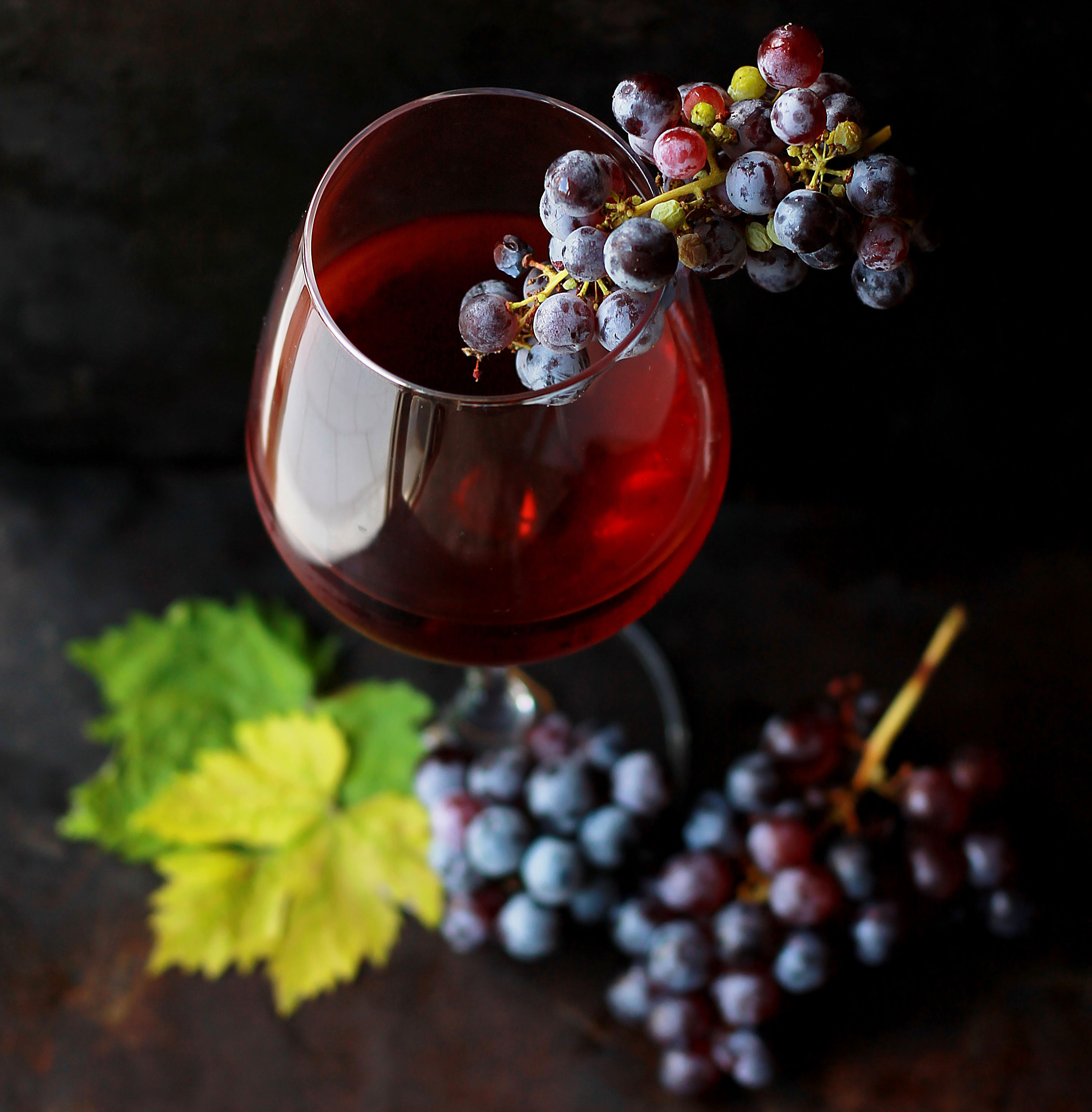 Viñas y Bodegas