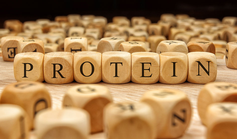 ¿Para qué nos sirven las proteínas?