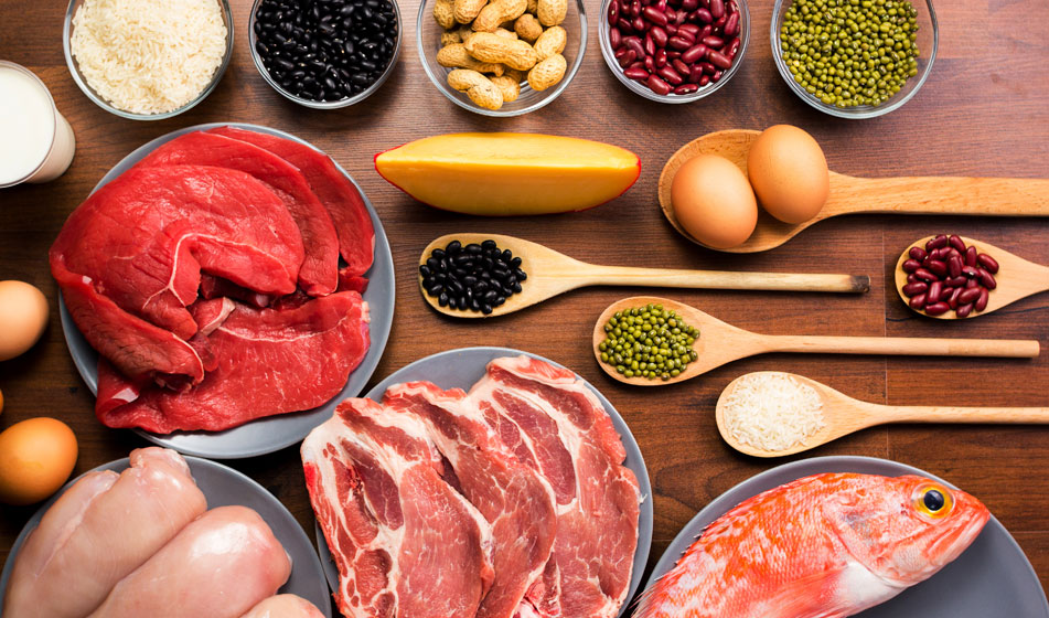 Proteínas, ¿vegetales o animales?