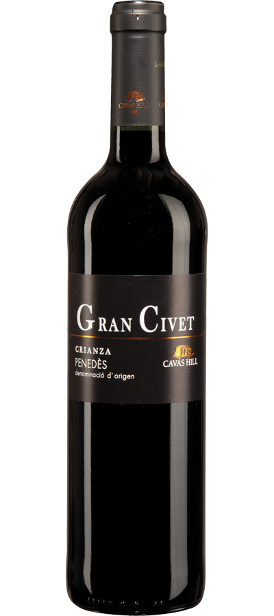 Gran Civet Gran Civet