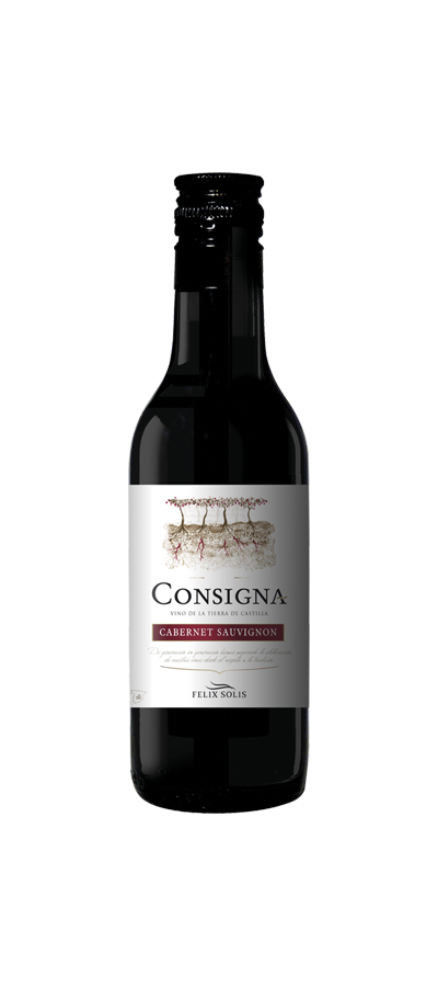 Consigna Consigna