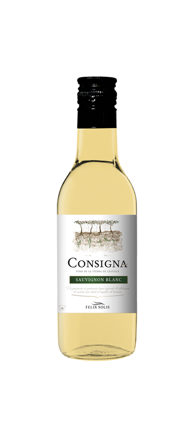 Consigna Consigna