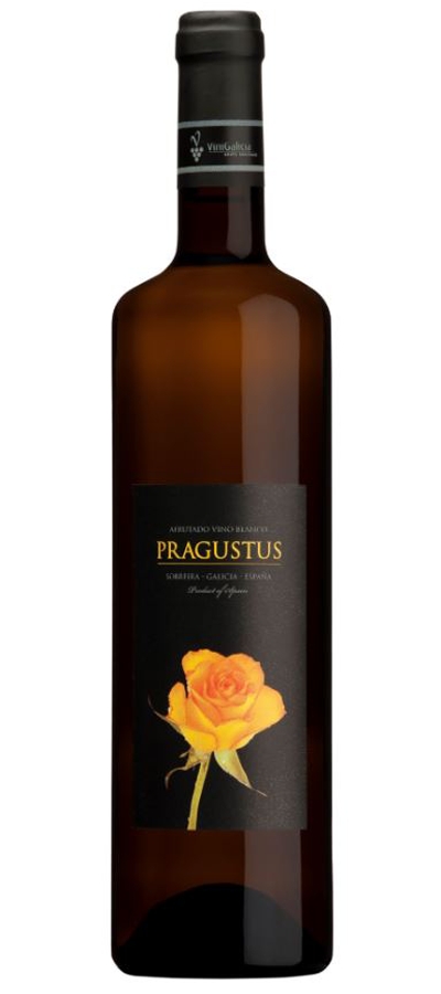 Pragustus Pragustus