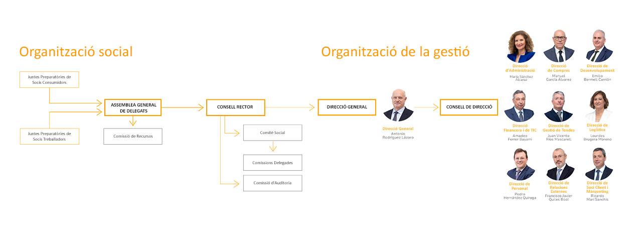 Organigrama
